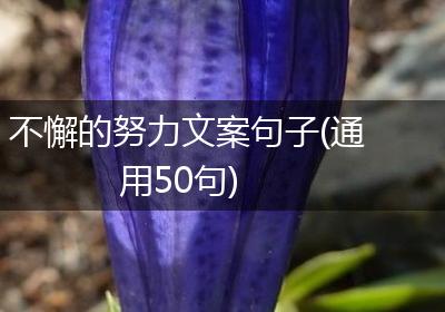 不懈的努力文案句子(通用50句)