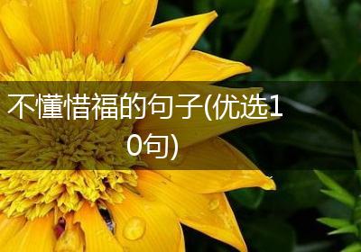 不懂惜福的句子(优选10句)