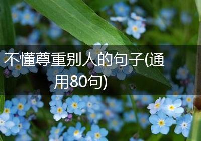 不懂尊重别人的句子(通用80句)