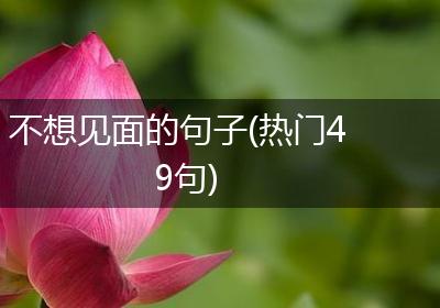 不想见面的句子(热门49句)