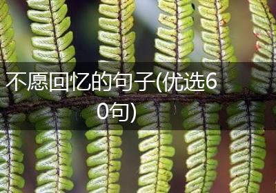不愿回忆的句子(优选60句)