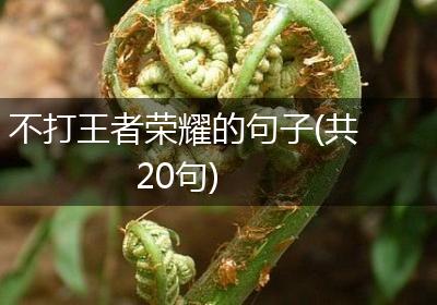 不打王者荣耀的句子(共20句)