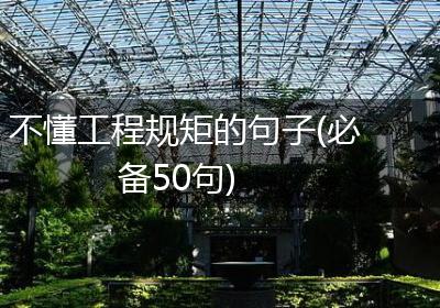 不懂工程规矩的句子(必备50句)