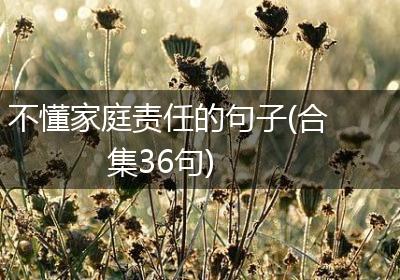 不懂家庭责任的句子(合集36句)