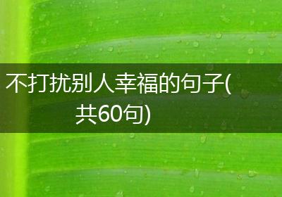 不打扰别人幸福的句子(共60句)