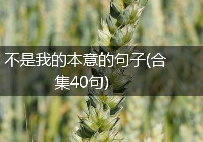 不是我的本意的句子(合集40句)