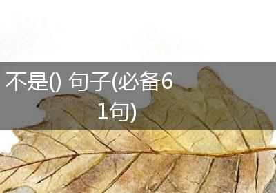 不是() 句子(必备61句)