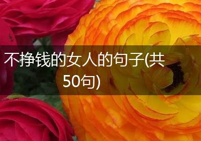 不挣钱的女人的句子(共50句)