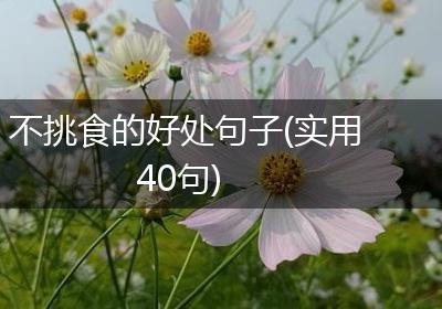 不挑食的好处句子(实用40句)