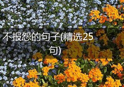 不报怨的句子(精选25句)