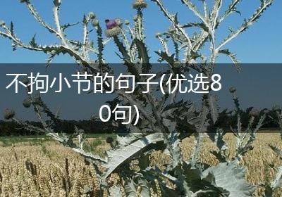 不拘小节的句子(优选80句)