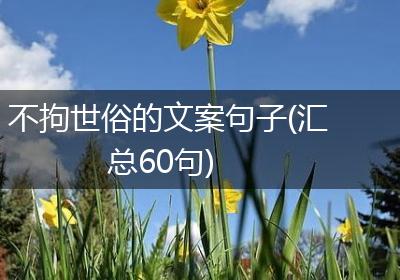 不拘世俗的文案句子(汇总60句)