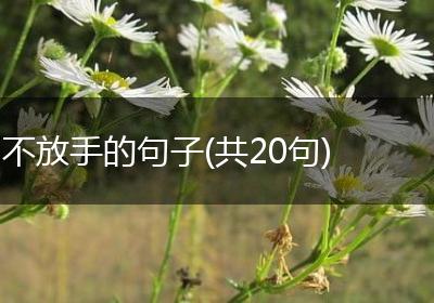 不放手的句子(共20句)