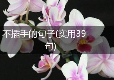 不插手的句子(实用39句)