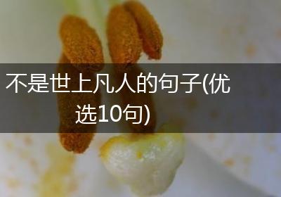 不是世上凡人的句子(优选10句)