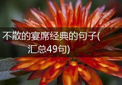 不散的宴席经典的句子(汇总49句)