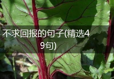 不求回报的句子(精选49句)