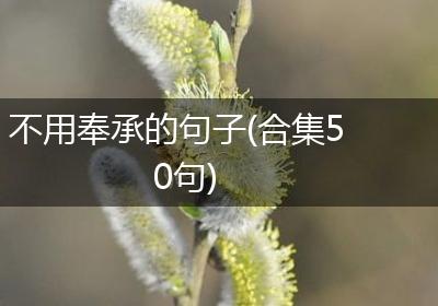 不用奉承的句子(合集50句)