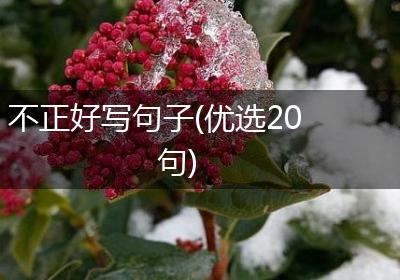 不正好写句子(优选20句)