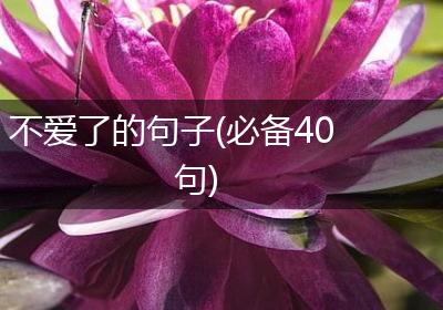 不爱了的句子(必备40句)