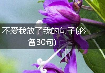 不爱我放了我的句子(必备30句)