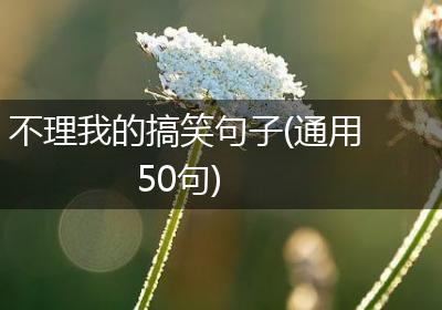 不理我的搞笑句子(通用50句)