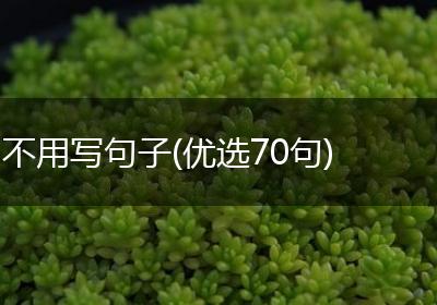 不用写句子(优选70句)