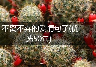 不离不弃的爱情句子(优选50句)