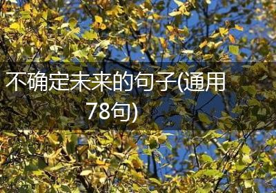 不确定未来的句子(通用78句)