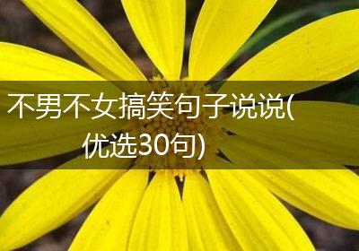 不男不女搞笑句子说说(优选30句)