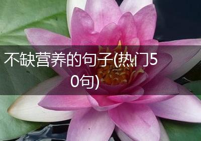不缺营养的句子(热门50句)