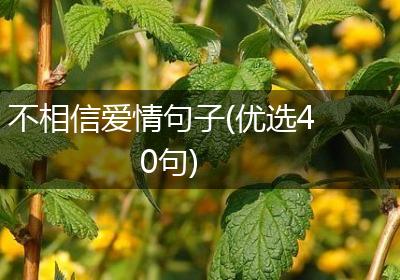 不相信爱情句子(优选40句)