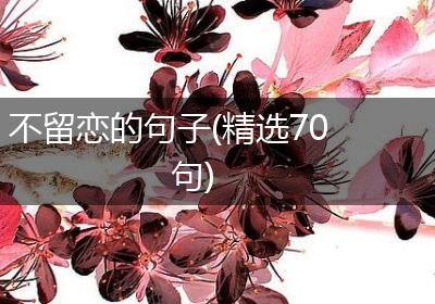 不留恋的句子(精选70句)