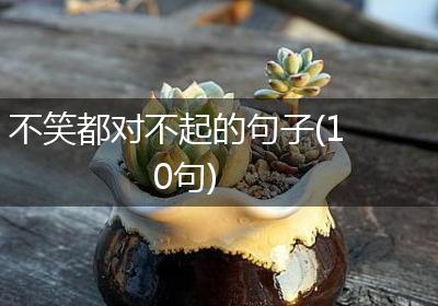 不笑都对不起的句子(10句)