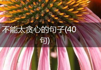 不能太贪心的句子(40句)