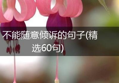 不能随意倾诉的句子(精选60句)
