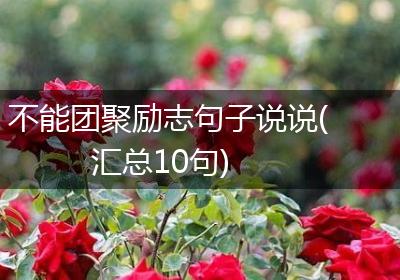 不能团聚励志句子说说(汇总10句)