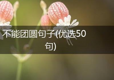 不能团圆句子(优选50句)