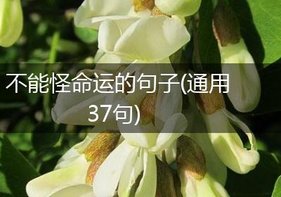 不能怪命运的句子(通用37句)