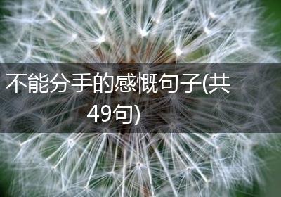 不能分手的感慨句子(共49句)