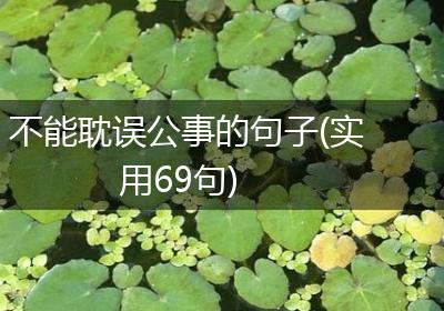 不能耽误公事的句子(实用69句)