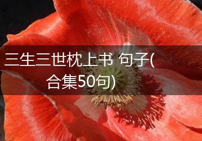 三生三世枕上书 句子(合集50句)