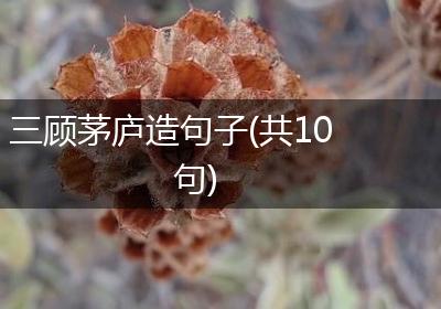 三顾茅庐造句子(共10句)
