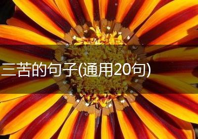 三苦的句子(通用20句)