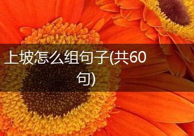 上坡怎么组句子(共60句)