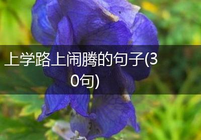 上学路上闹腾的句子(30句)
