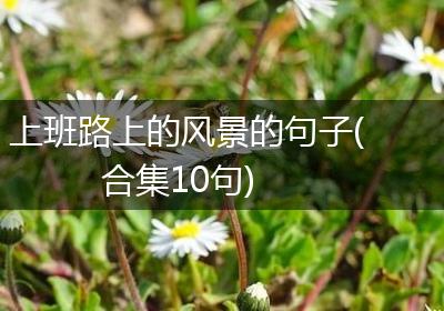上班路上的风景的句子(合集10句)
