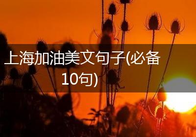上海加油美文句子(必备10句)