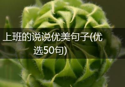 上班的说说优美句子(优选50句)