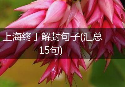 上海终于解封句子(汇总15句)
